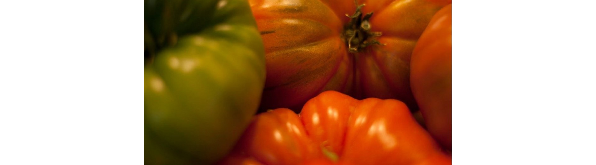 Tomates